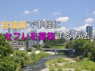 宮城県でいつでもセフレ募集できる