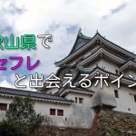 和歌山県でセフレを募集したいなら！