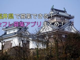 福井県で簡単にセフレ募集できるアプリ